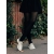 Pantofi casual dama bej din piele naturala lacuita Estebana - Kalapod.net